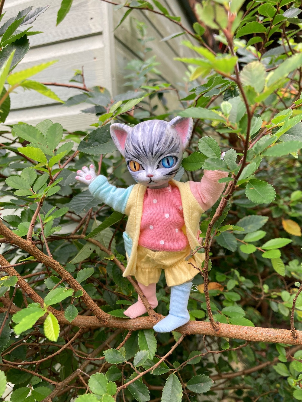 cat in tree
