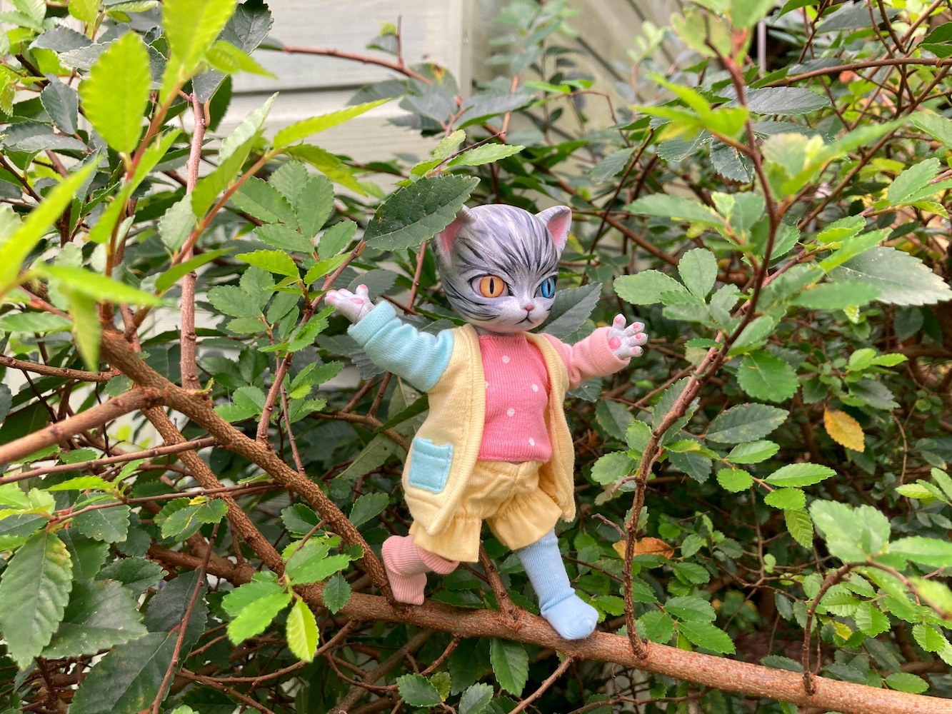 cat in tree
