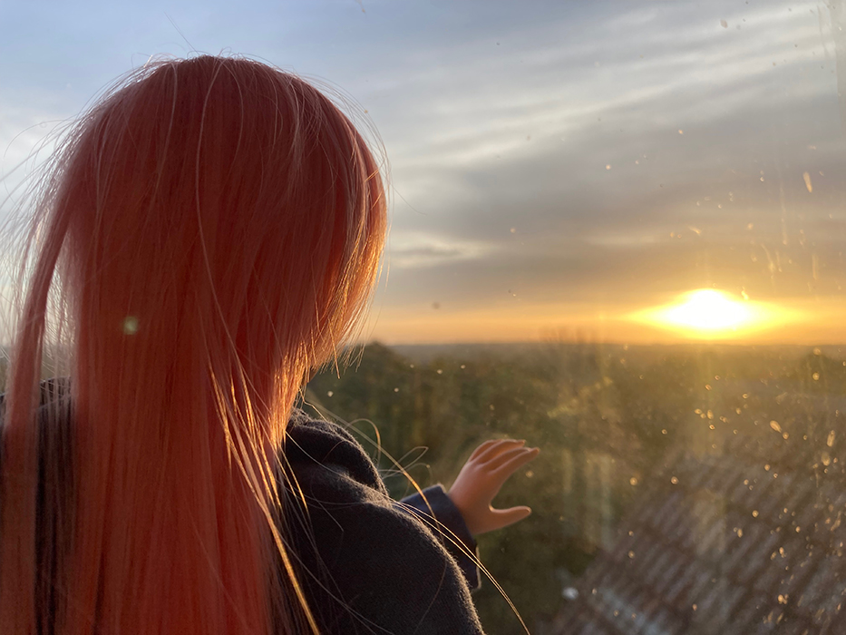clover watching sunset