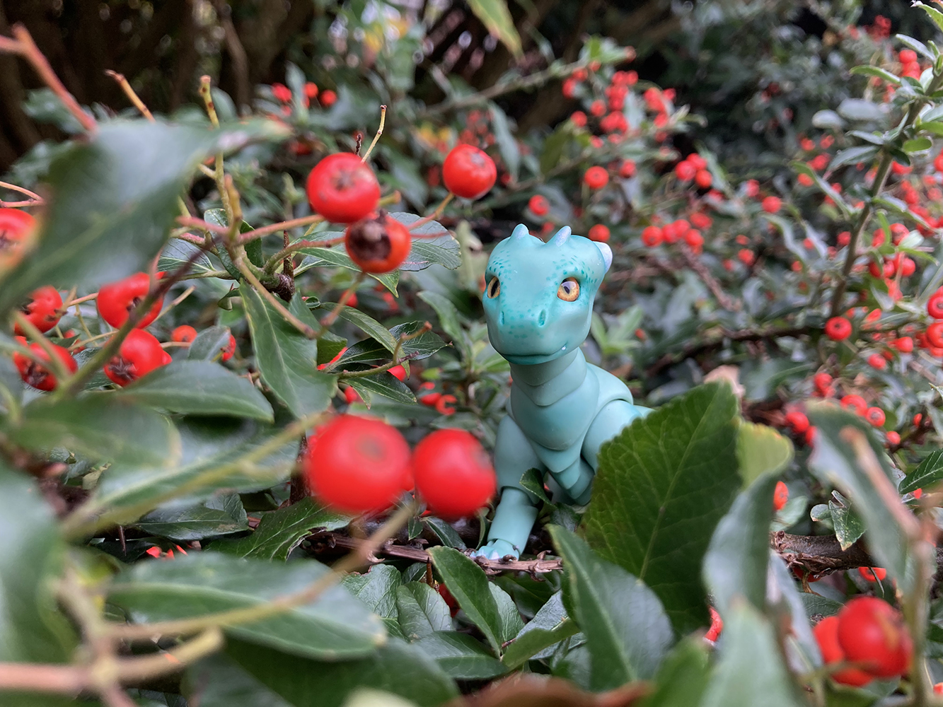 berries 2