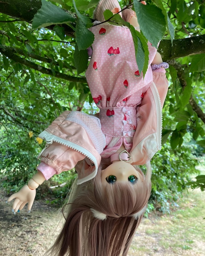 melody upside down in a tree