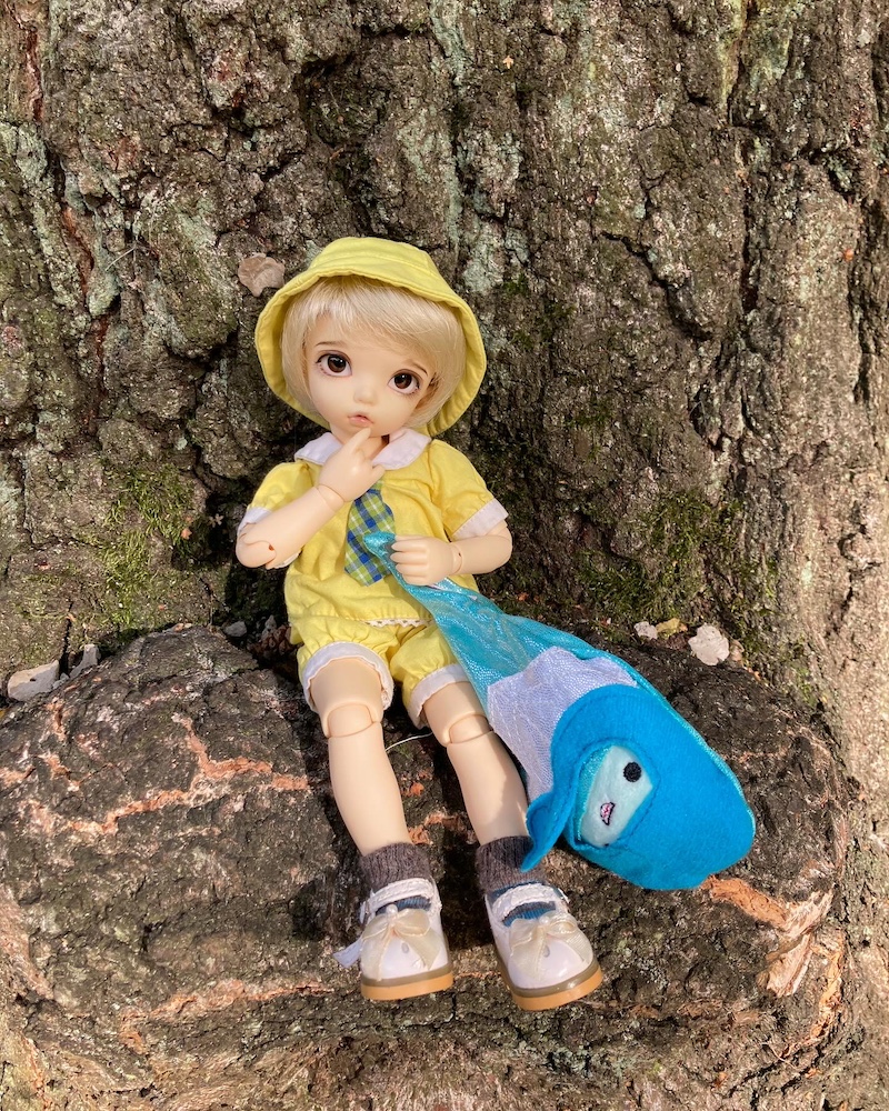 clementine in a tree