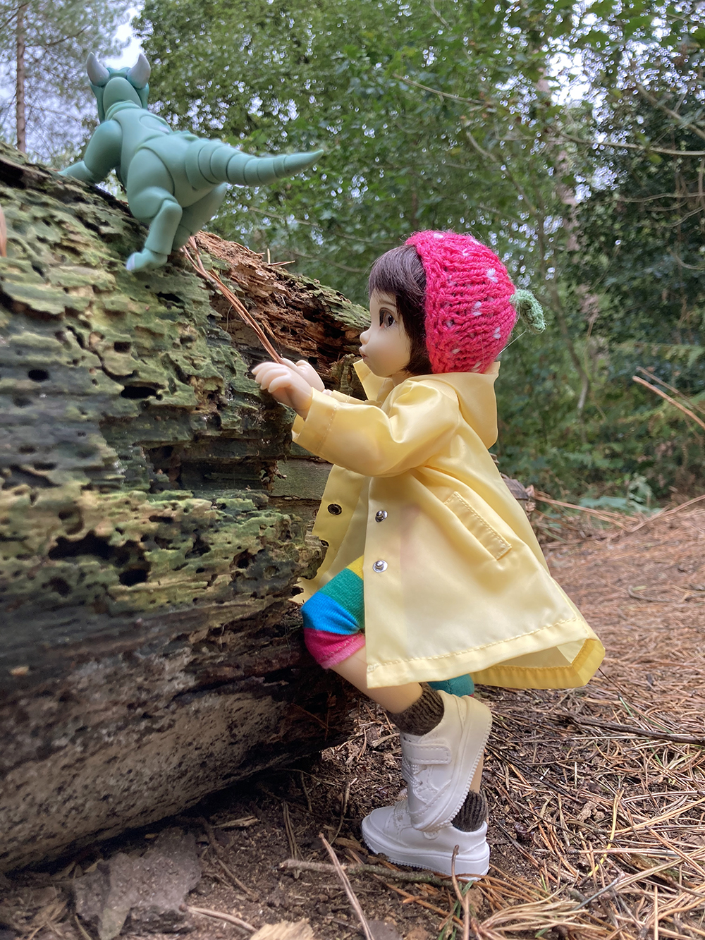 clementine and peppermint climbing