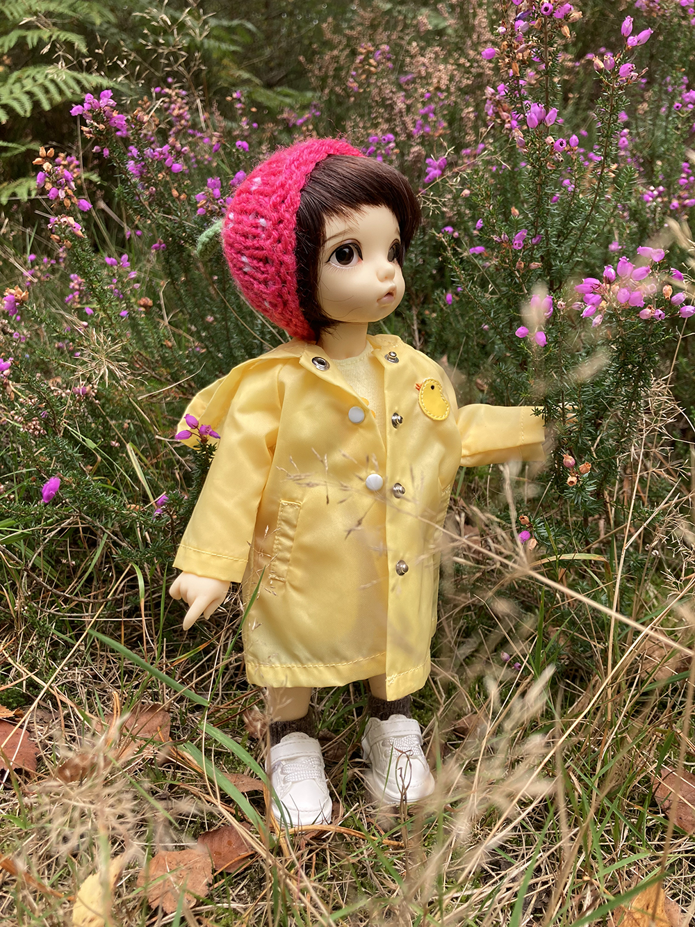 clementine in the heather