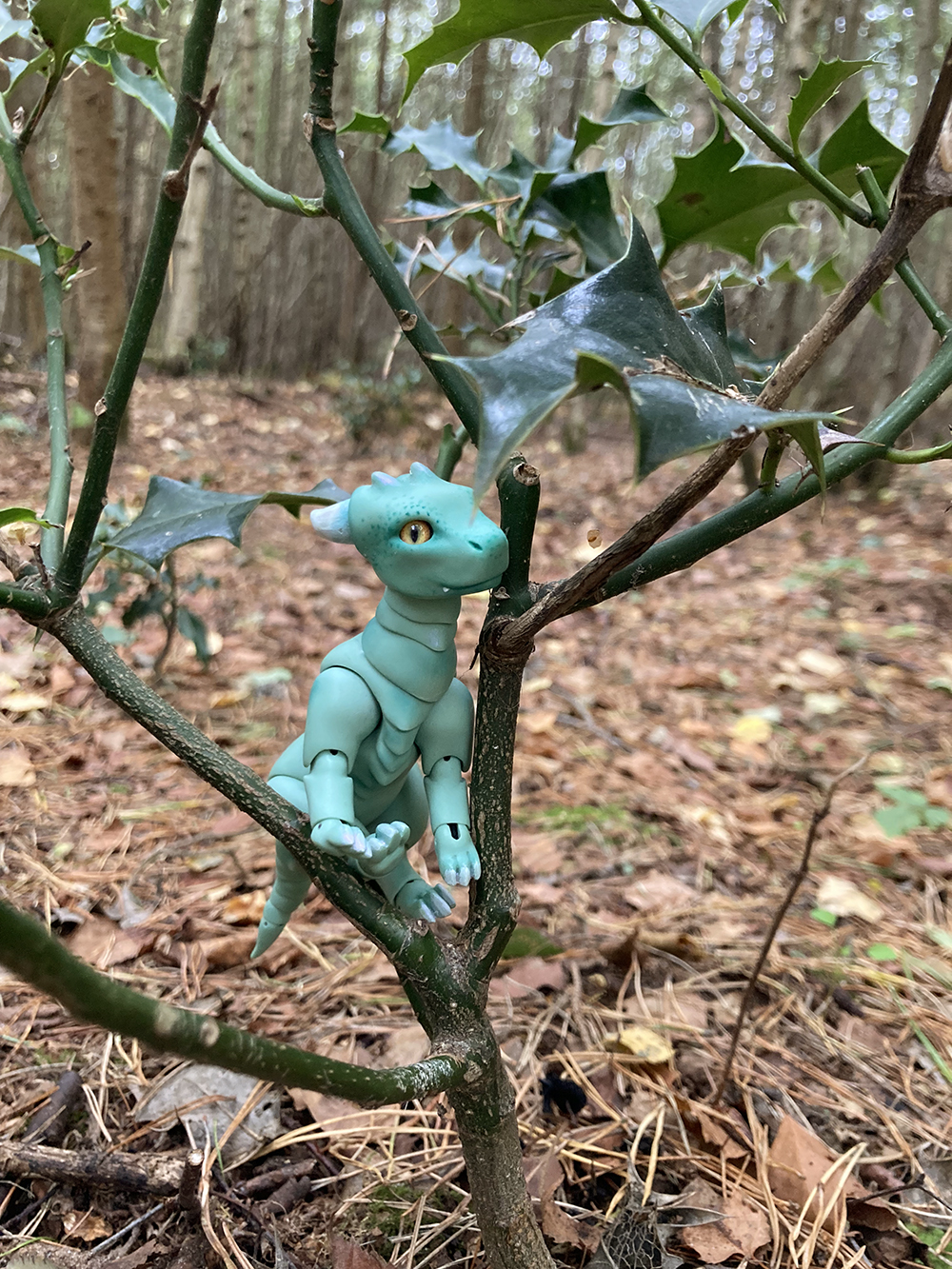 peppermint in holly tree