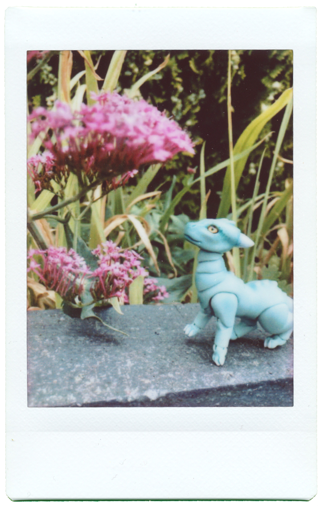 peppermint instax