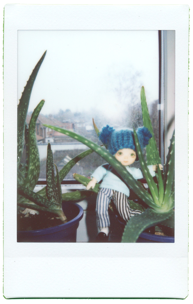 timothy instax