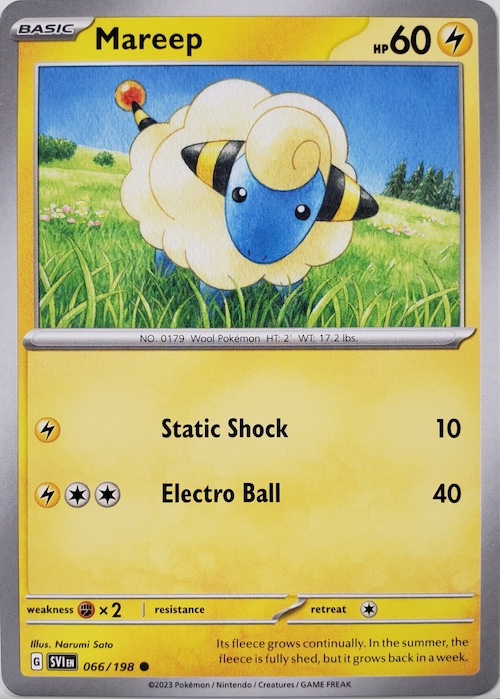 mareep