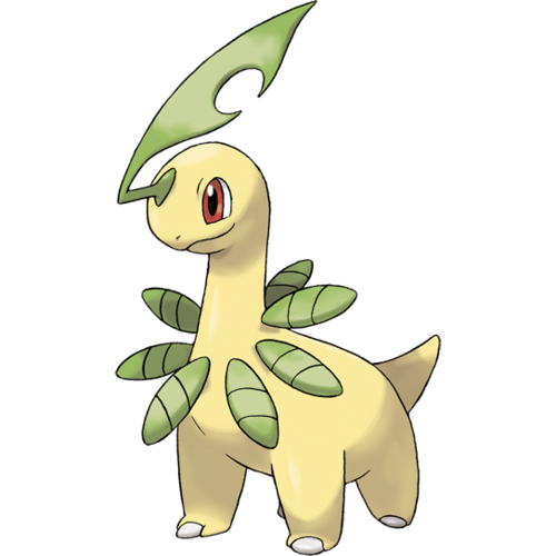 bayleef