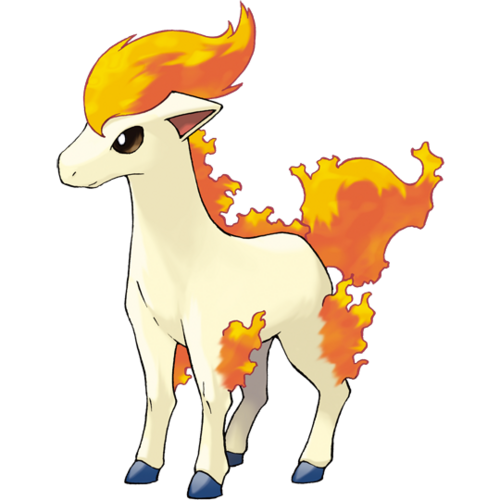 ponyta