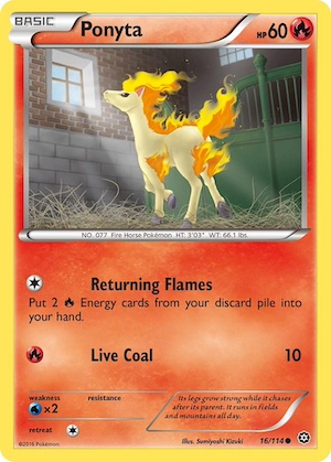 ponyta