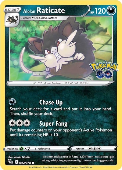 raticate