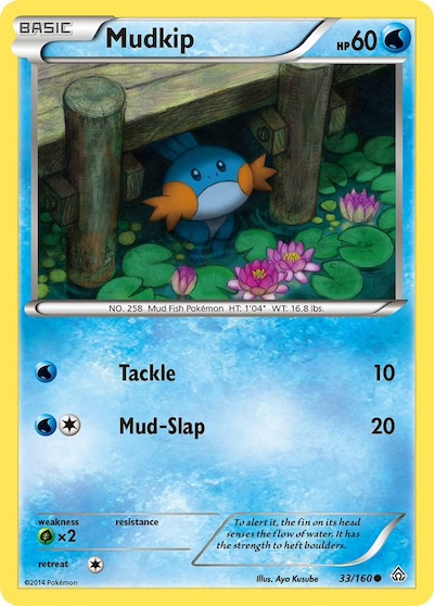 mudkip