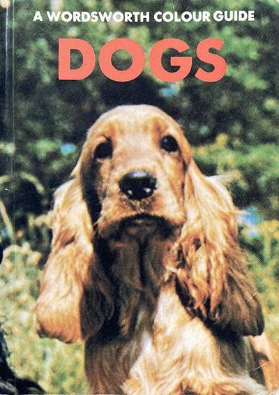 dogs book
