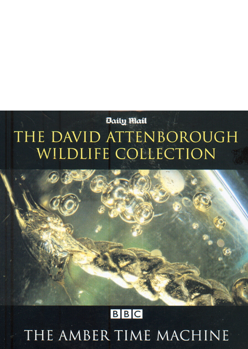 David Attenborough amber time machine