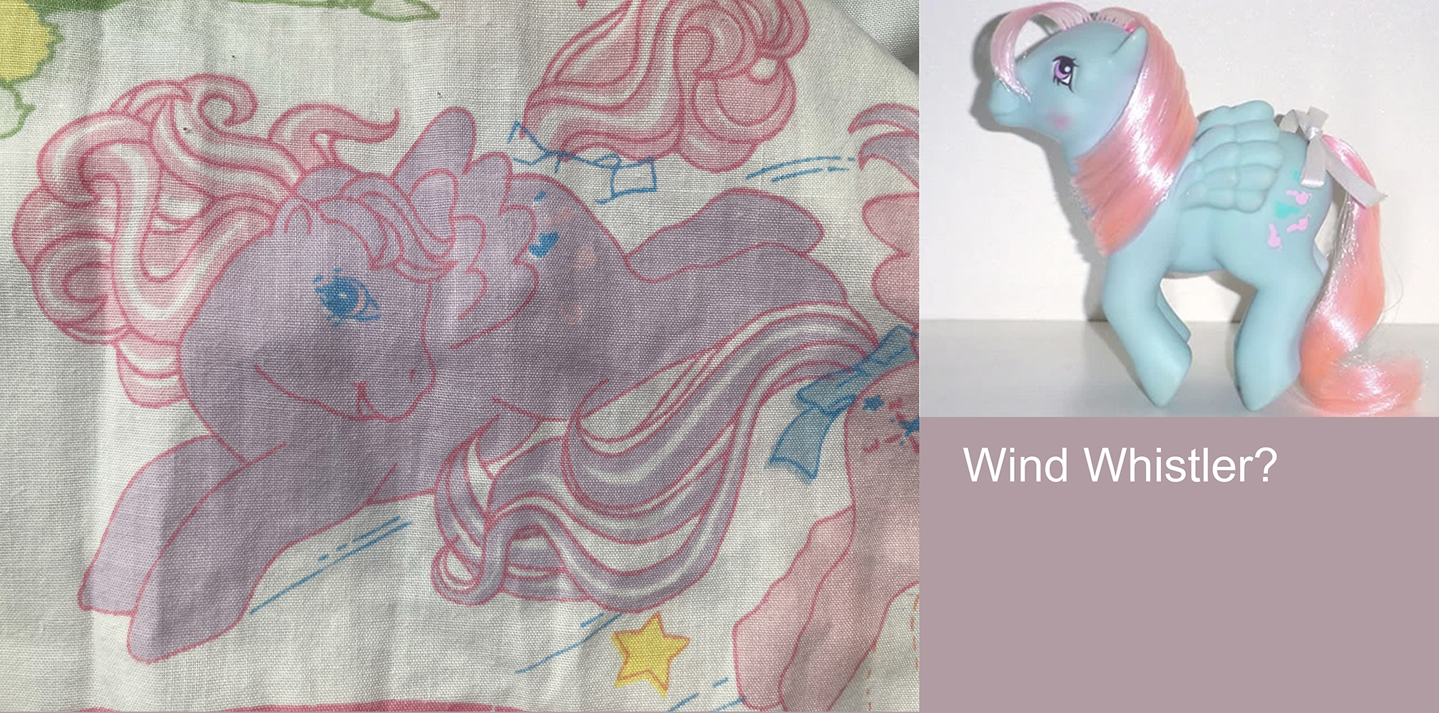 wind whistler